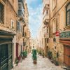 මෝල්ටා විශ්ව විද්‍යාලය ?Msida, Malta