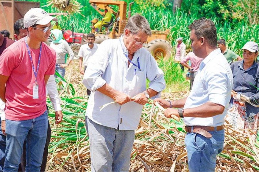 බ්‍රසීලයේ නියෝජිතයින් පිරිසක් පැල්වත්තේ සංචාරයක