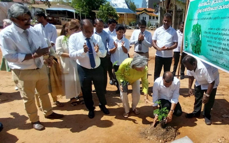 ජාතික මුරුංගා දිනය ප්‍රකාශයට පත් කිරීම කඩිනමින් සිදු  කරනවා.