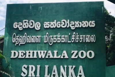 ළමයින්ට අද සතුන් වත්ත නොමිලේ