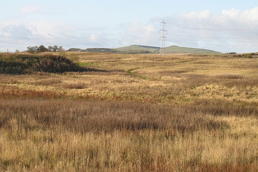 වගා නොකළ ඉඩම් වගා කිරීමට නීති…