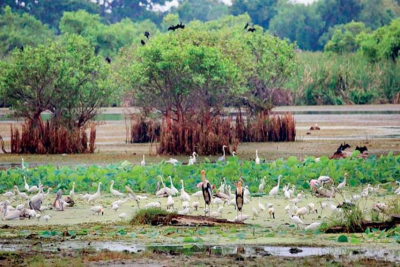 අන්තර්ජාතික තෙත්බිම් උද්‍යාන එකමුතුවේ පළමු සමුළුව ජුනි 17 සිට 21 දක්වා