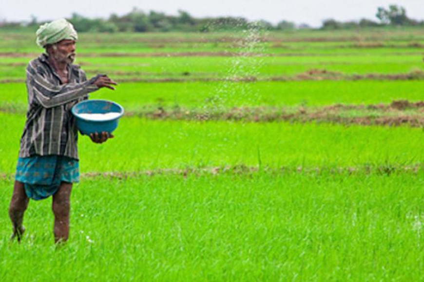 යල කන්නයට හෙක්ටයාර් එකකට රු. 15000ක් දෙන්න කැබිනට් පත්‍රිකාවක්