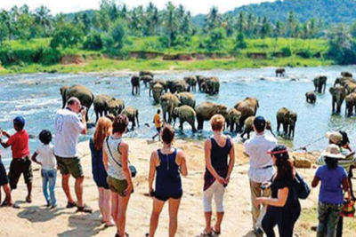 ජනවාරියේ සංචාරකයෝ දෙලක්‍ෂයක් ලංකාවට ඇවිත්